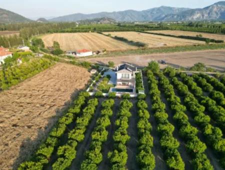 4 1 Villen Zum Verkauf Auf 14.136 M2 Feld In Eskiköy