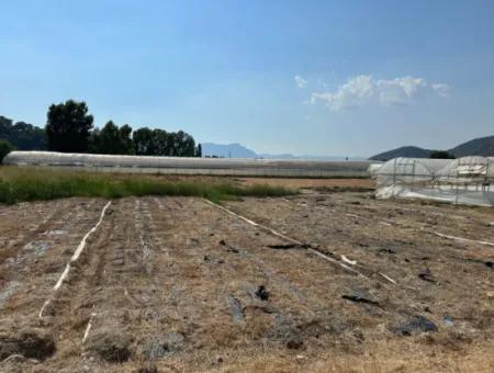 1462M2 Zoniertes Grundstück Zum Verkauf In Ortaca Ekşiliyurt