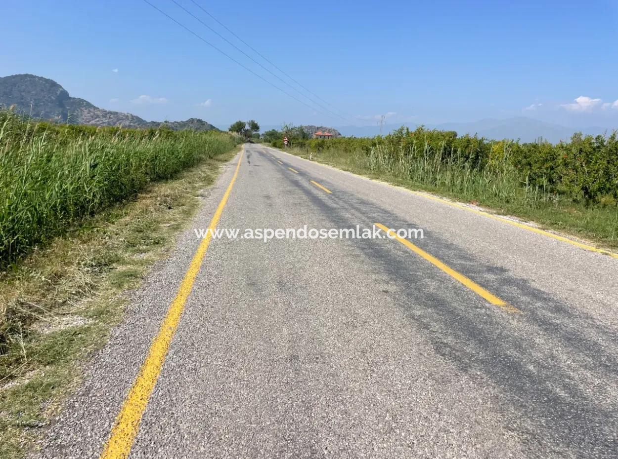 6,500M2 Field For Sale On The Iztuzu Road In Dalyan