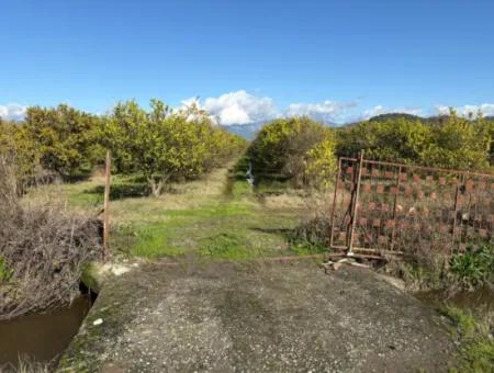 23,000M2 Detached Field Garden For Sale In Tepearasin,