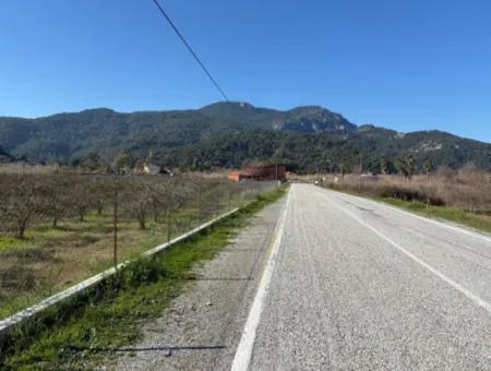 5985M2 5% Zoned Land For Sale In Dalyan As Vineyard Garden