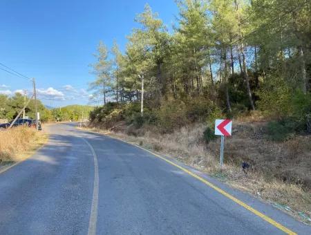 Land For Sale On 2506M2 Mainroa In Kavakarası