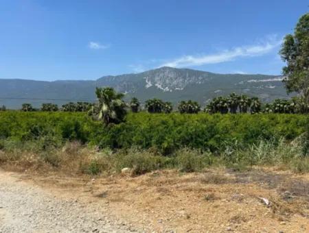 13,500M2 Roadfront Field For Sale In Akyaka Akçapınar