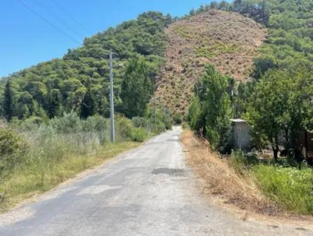 Road-New 6820M2 Pomegranate And Lemon Orchard Is For Sale In Tepearası