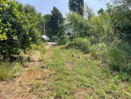 10.000M2 Land For Sale In The Village Built-Up Area In Okçular