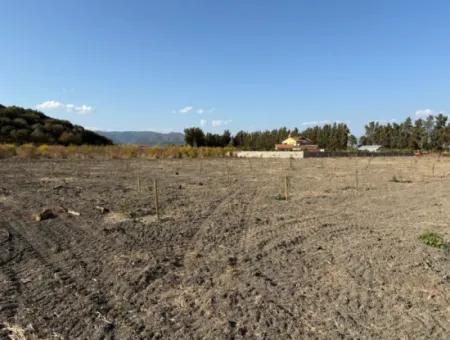 19.663M2 Land For Sale In Eskiköy