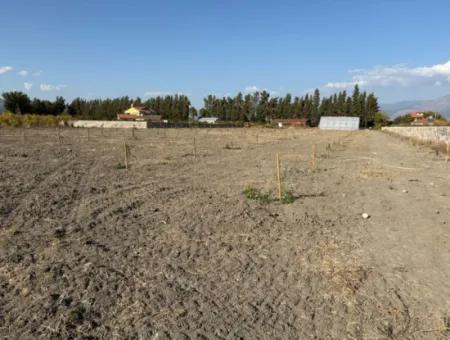 19.663M2 Farm Land And House For Sale In Eskiköy