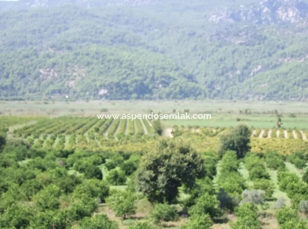 Dalyan Satılık Tarla Dalyan 73410M2 Satılık Tarla