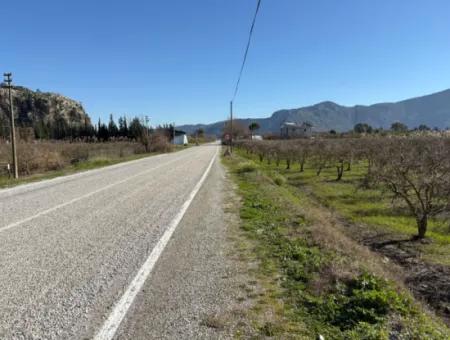 Dalyan'da Bağ Bahçe Olarak 5985M2 %5 İmarlı Satılık Arsa