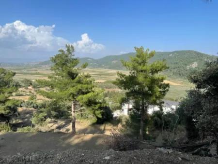 Sarıgerme'de Full Deniz Manzaralı 425M2 Satılık Arsa